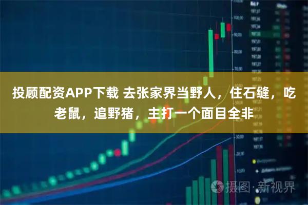 投顾配资APP下载 去张家界当野人，住石缝，吃老鼠，追野猪，主打一个面目全非