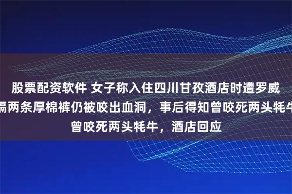 股票配资软件 女子称入住四川甘孜酒店时遭罗威纳犬咬伤，隔两条厚棉裤仍被咬出血洞，事后得知曾咬死两头牦牛，酒店回应
