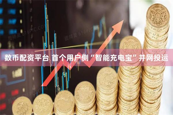 数币配资平台 首个用户侧“智能充电宝”并网投运